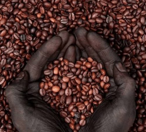 Ethiopia’s Monthly Coffee Exports Surpasses $107 million